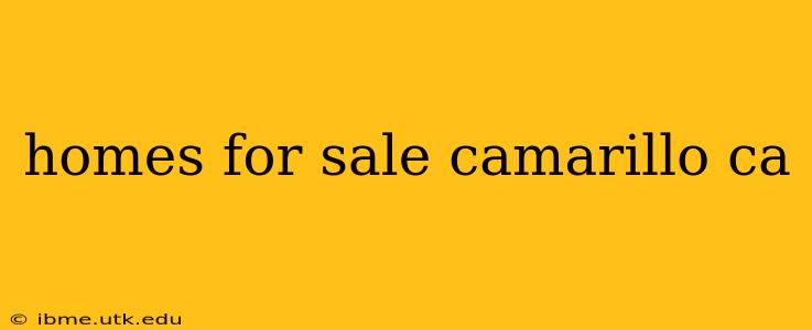 homes for sale camarillo ca