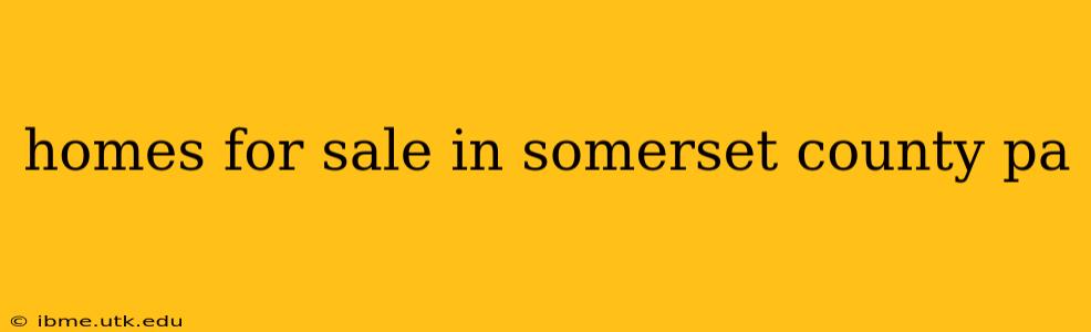 homes for sale in somerset county pa