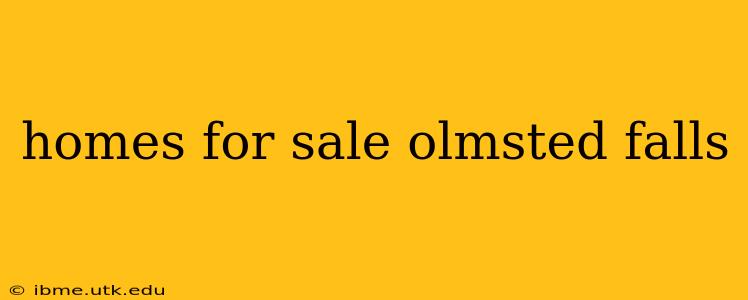 homes for sale olmsted falls