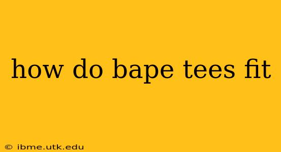 how do bape tees fit