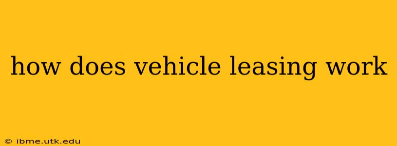 how does vehicle leasing work