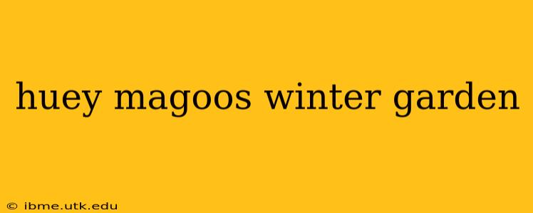huey magoos winter garden