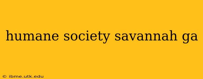 humane society savannah ga