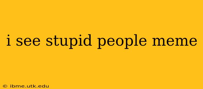 i see stupid people meme
