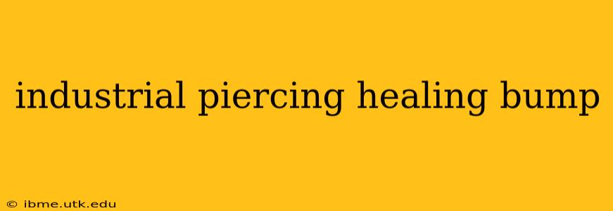 industrial piercing healing bump