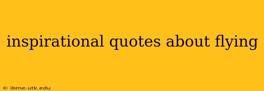 inspirational quotes about flying