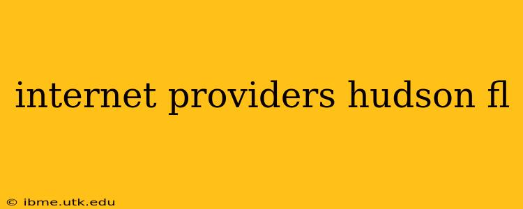 internet providers hudson fl