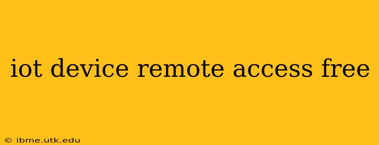 iot device remote access free