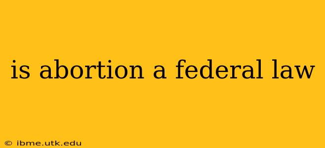 is abortion a federal law