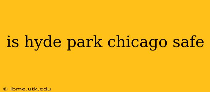 is hyde park chicago safe