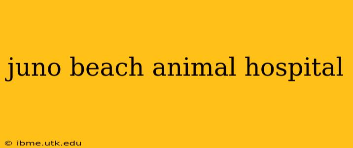 juno beach animal hospital