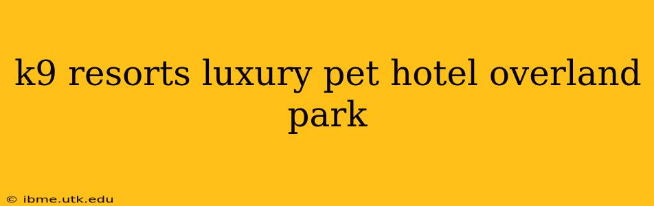 k9 resorts luxury pet hotel overland park