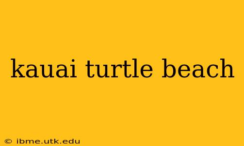 kauai turtle beach