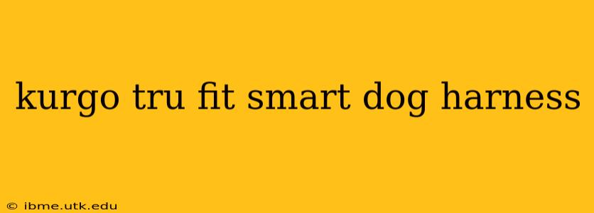 kurgo tru fit smart dog harness