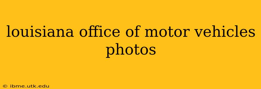 louisiana office of motor vehicles photos