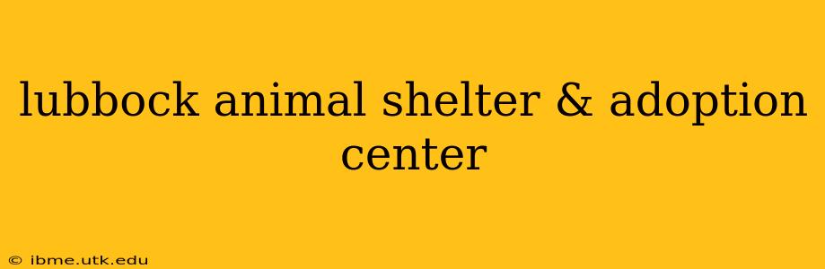 lubbock animal shelter & adoption center