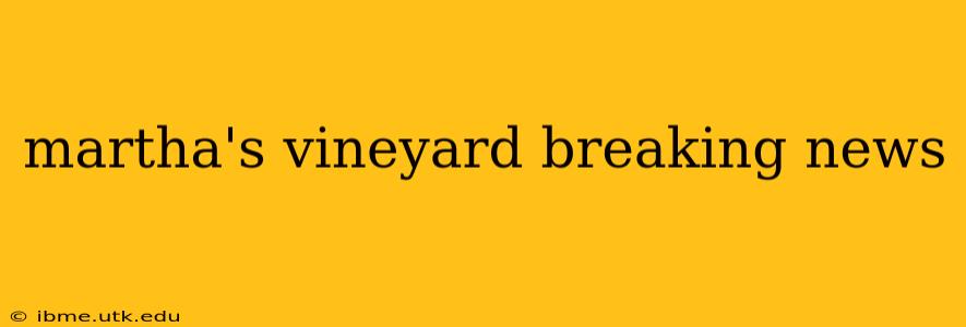 martha's vineyard breaking news