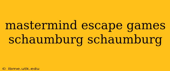 mastermind escape games schaumburg schaumburg