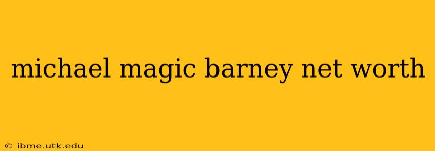 michael magic barney net worth