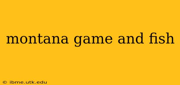 montana game and fish
