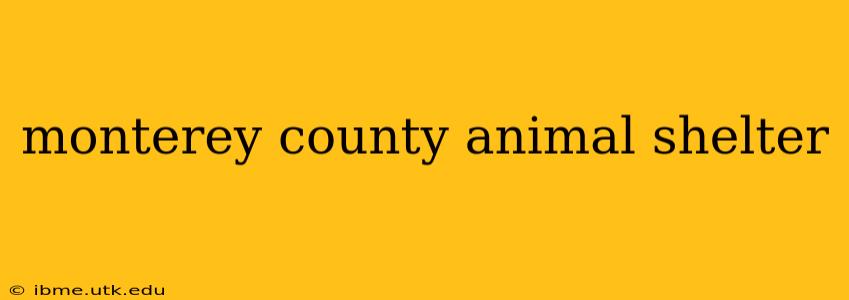 monterey county animal shelter