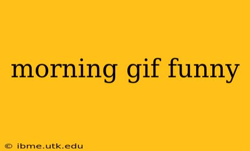 morning gif funny