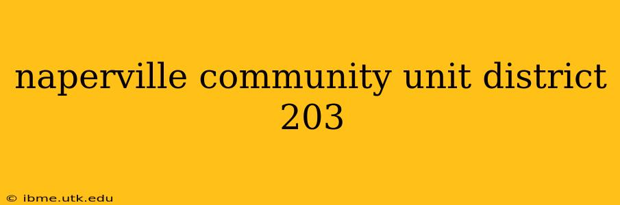 naperville community unit district 203