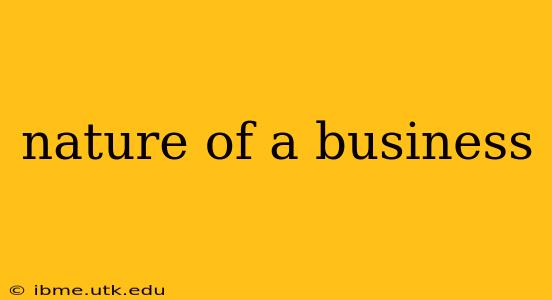 nature of a business