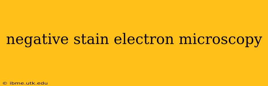 negative stain electron microscopy