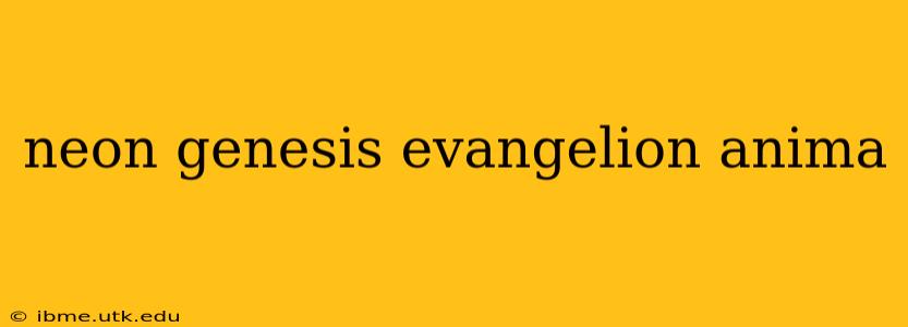 neon genesis evangelion anima