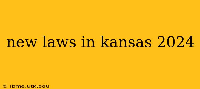 new laws in kansas 2024