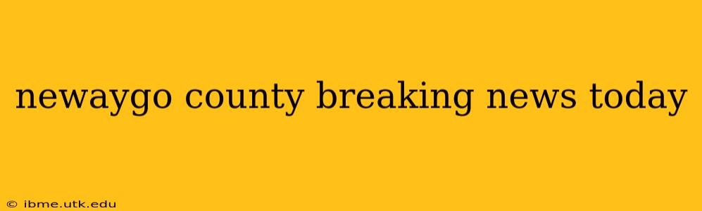 newaygo county breaking news today