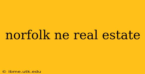 norfolk ne real estate
