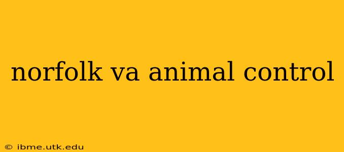 norfolk va animal control