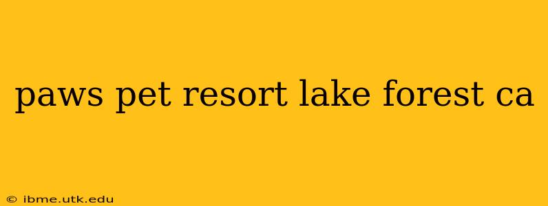 paws pet resort lake forest ca