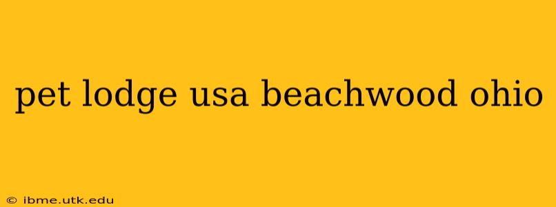 pet lodge usa beachwood ohio