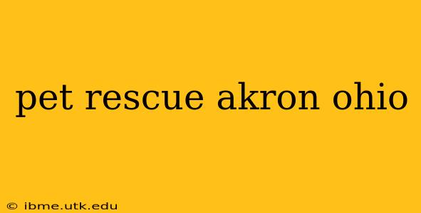 pet rescue akron ohio