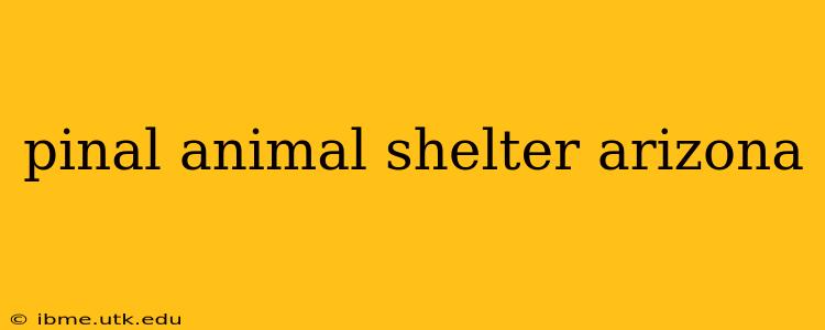 pinal animal shelter arizona