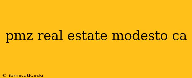 pmz real estate modesto ca