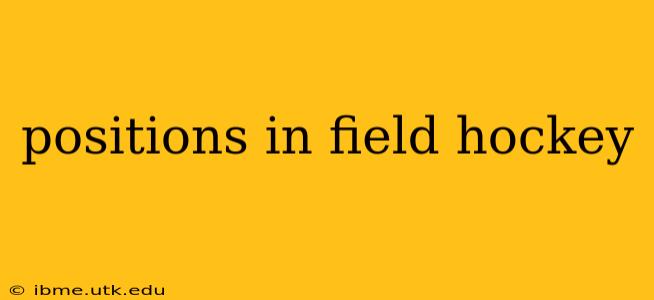 positions in field hockey