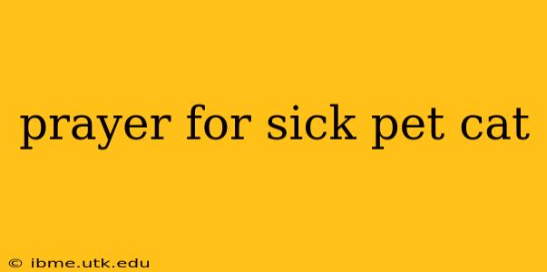 prayer for sick pet cat