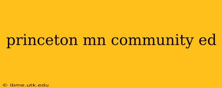 princeton mn community ed