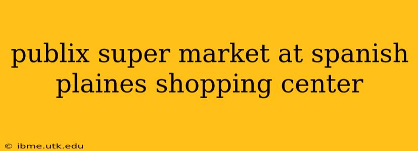 publix super market at spanish plaines shopping center