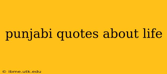 punjabi quotes about life