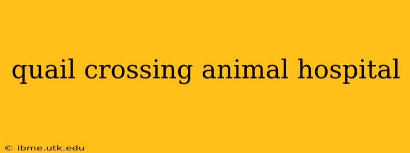 quail crossing animal hospital
