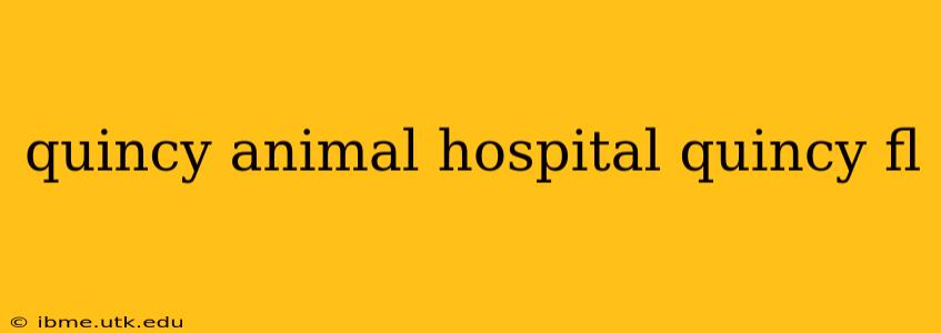 quincy animal hospital quincy fl