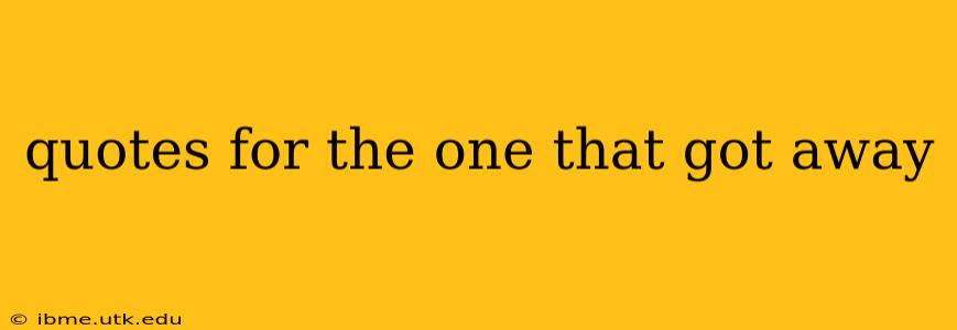 quotes for the one that got away