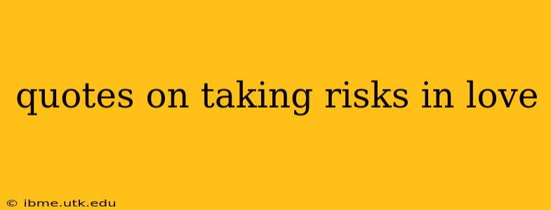 quotes on taking risks in love