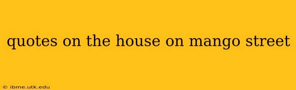 quotes on the house on mango street