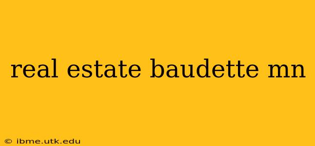 real estate baudette mn